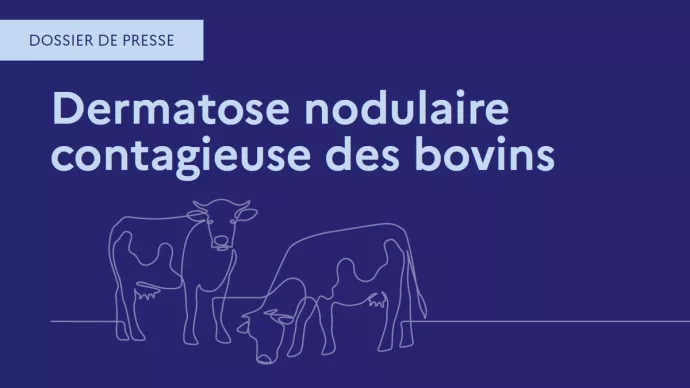Appliquons les bons gestes !
